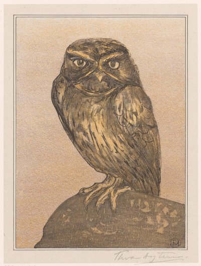 Little Owl on Rock by Theo van Hoytema (signed by artist)