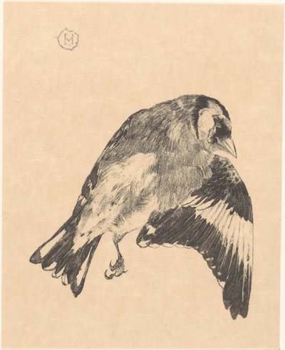 Dead Goldfinch by Theo van Hoytema