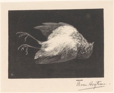 Dead Robin by Theo van Hoytema