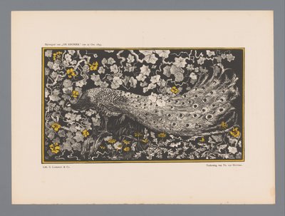 Peacock by Theo van Hoytema