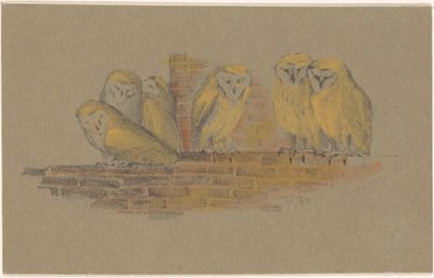 Greeting Card with Six Owls by Theo van Hoytema
