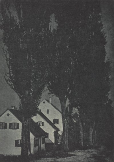 Camera Work: Dachau by Theodor Hofmeister
