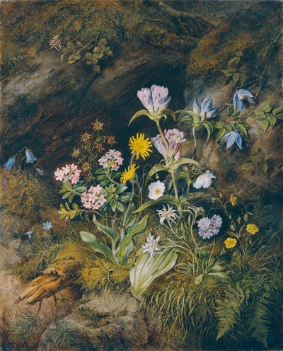 Alpine Flora by Theodor Josef Petter