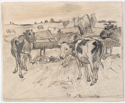 Calves at Gammelgård