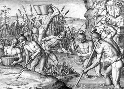 Timucua Indian collecting gold by Theodor de Bry