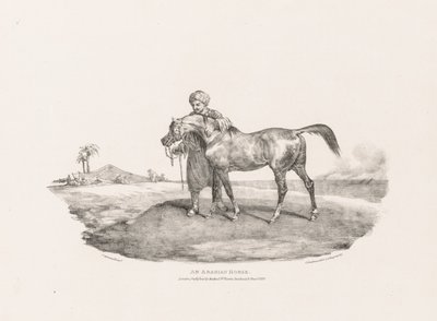 An Arabian Horse by Theodore Gericault