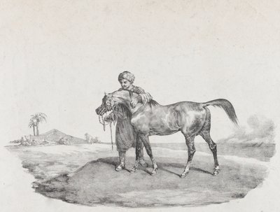 An Arabian Horse by Theodore Gericault