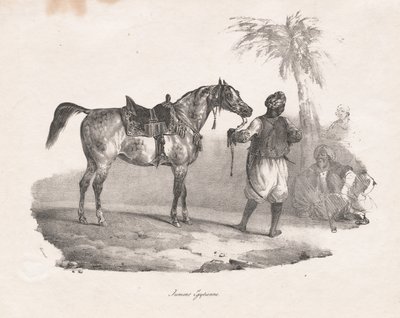 Egyptian Mare by Theodore Gericault