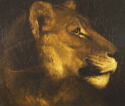 Head of a Lioness by Theodore Gericault