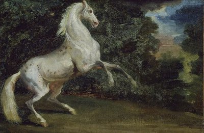 Prancing Horse by Theodore Gericault