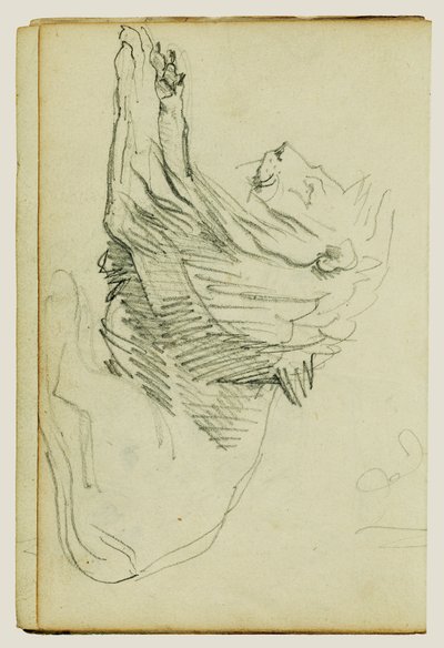 Seated Lion by Theodore Gericault