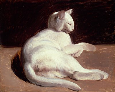 The White Cat by Theodore Gericault