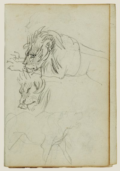 Three Lion Studies by Theodore Gericault