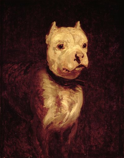 Unknown Picture by Theodore Gericault