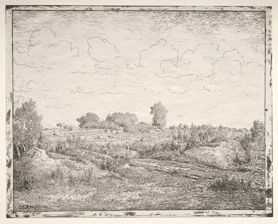 The Plain of La Plante at Biau by Theodore Rousseau