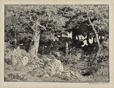 Oak from Rocks by Theodore Rousseau