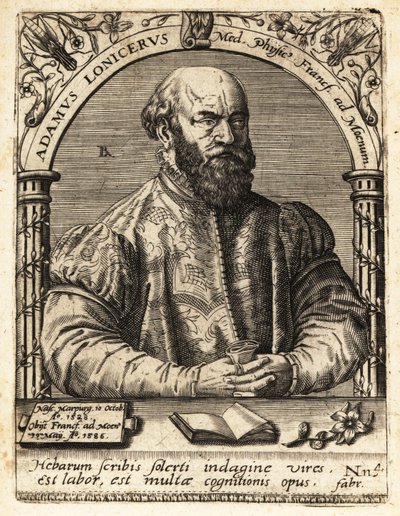 Adam Lonicer or Lonitzer by Theodore de Bry