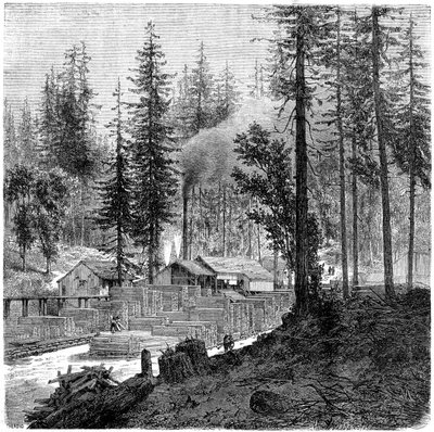 Sawmill, California by Theroud