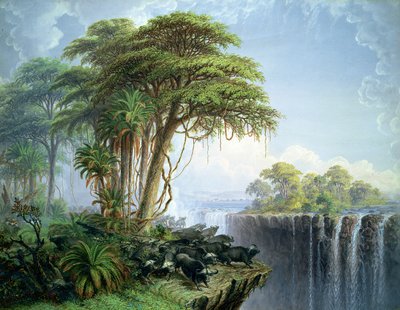Unknown Image by Thomas Baines