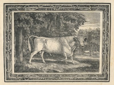 The Wild Bull of Chillingham by Thomas Bewick