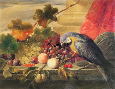 Unknown Image by Thomas C. Ward
