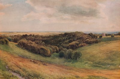 Arundel Park by Thomas Collier