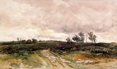 Moorland Scene, 1878 by Thomas Collier