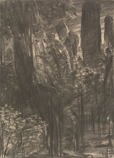 A Grove of Trees by Thomas Dalziel