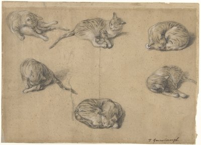 Six Studies of a Cat by Thomas Gainsborough