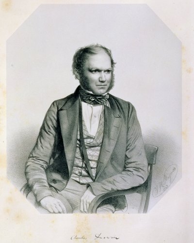 Charles Robert Darwin by Thomas Herbert Maguire