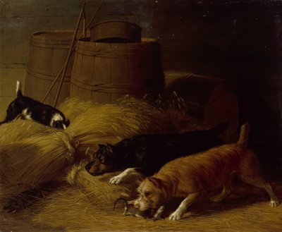 Rats amongst the Barley Sheaves by Thomas Hewes Hinckley