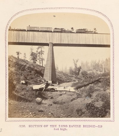 Section of the Long Ravine Bridge by Thomas Houseworth