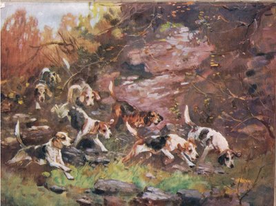 Through the Undergrowth, Illustration from 