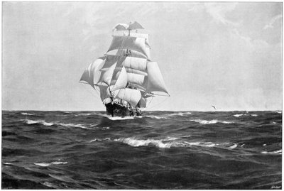Homeward Bound by Thomas J Somerscales