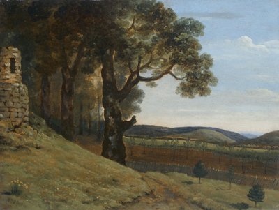 Field Near Pencerrig by Thomas Jones