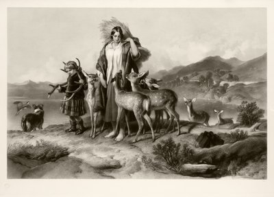The Forester