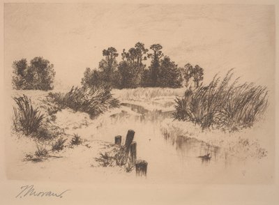 Passaic Meadows (In the Newark Meadows) by Thomas Moran