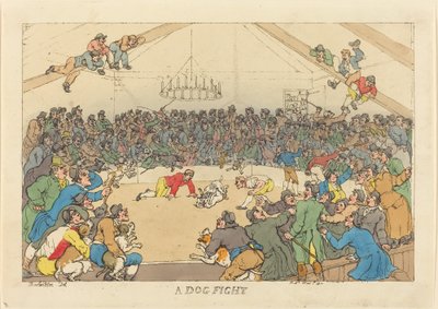A Dog Fight by Thomas Rowlandson