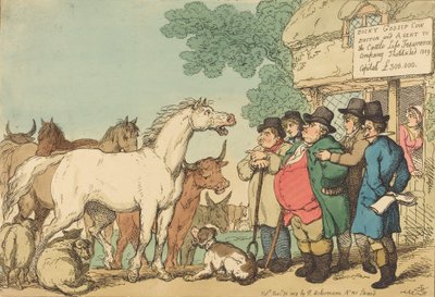 Insurable Cattle, published 1809 by Thomas Rowlandson