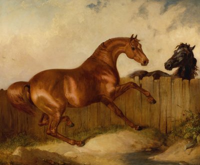Stallion and Mare by Thomas Woodward