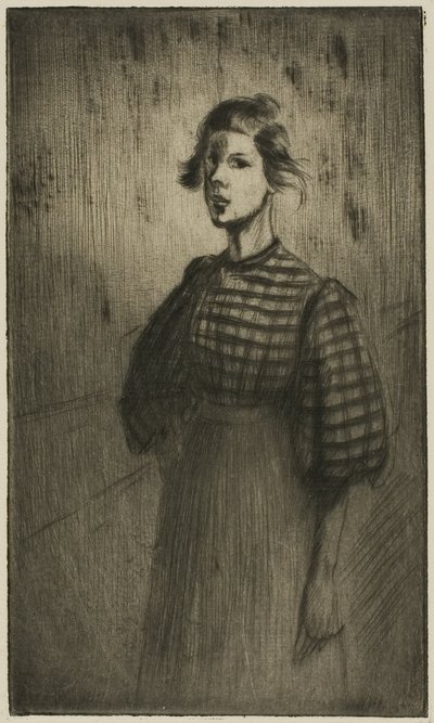 The Apprentice by Théophile Alexandre Pierre Steinlen