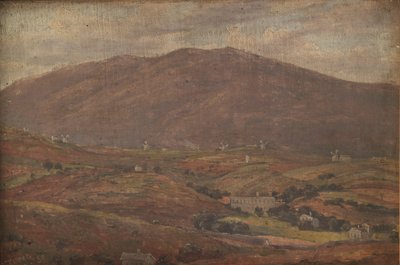 Landscape near Setúbal, Portugal by Thorald Brendstrup