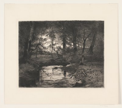 Stream in Borrevejle Forest by Thorvald Niss