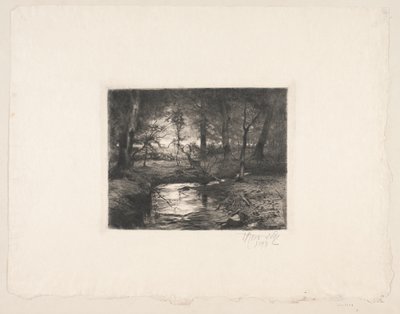 Stream in Borrevejle Forest by Thorvald Niss