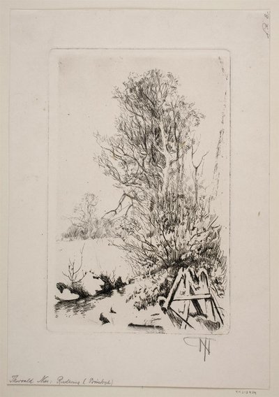 Trees by a Brook by Thorvald Niss