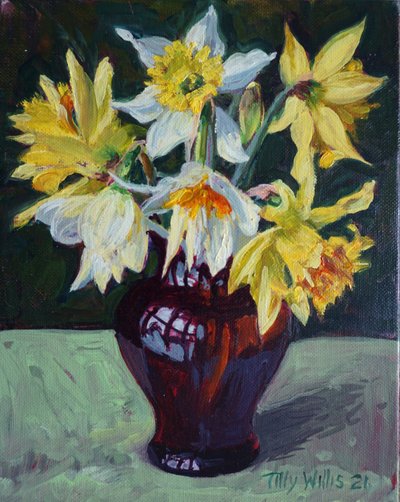 Daffodils by Tilly Willis