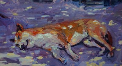 Sleeping Dog by Tilly Willis