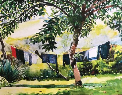 Washing Line by Tilly Willis