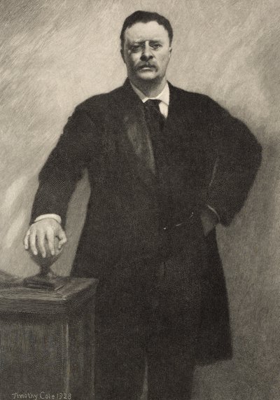 Theodore Roosevelt by Timothy Cole