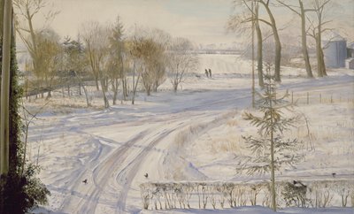 Moorhens Searching by Timothy Easton